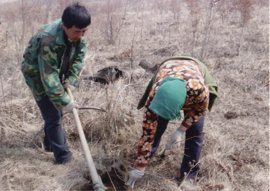 ��������