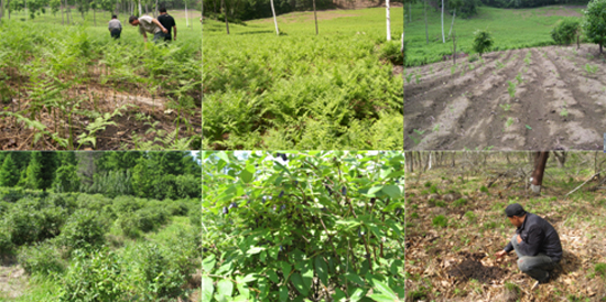 �����ֹ�����Դ